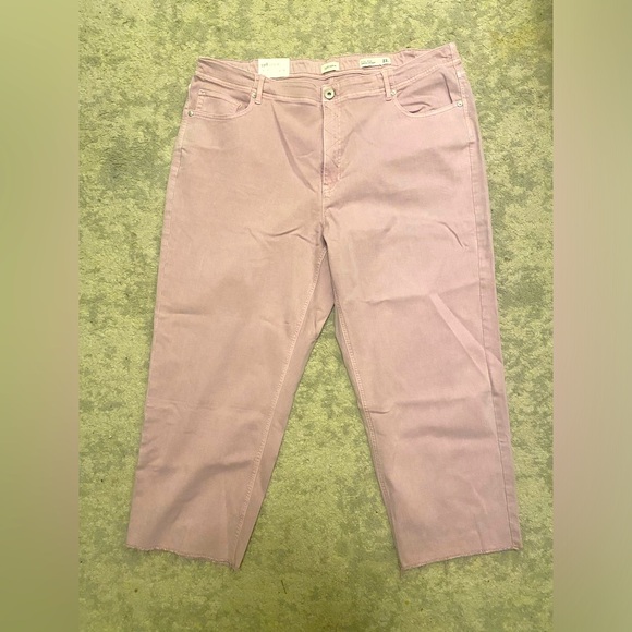 J Jill high rise straight leg crop denim lt. lilac 22R NWT - Picture 1 of 4